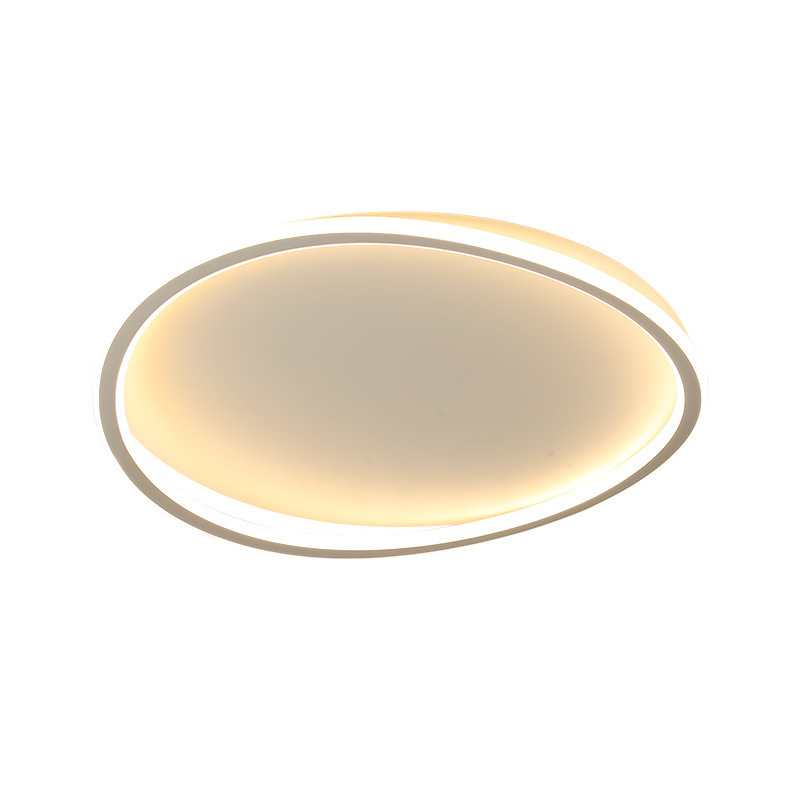 Ceiling light 4